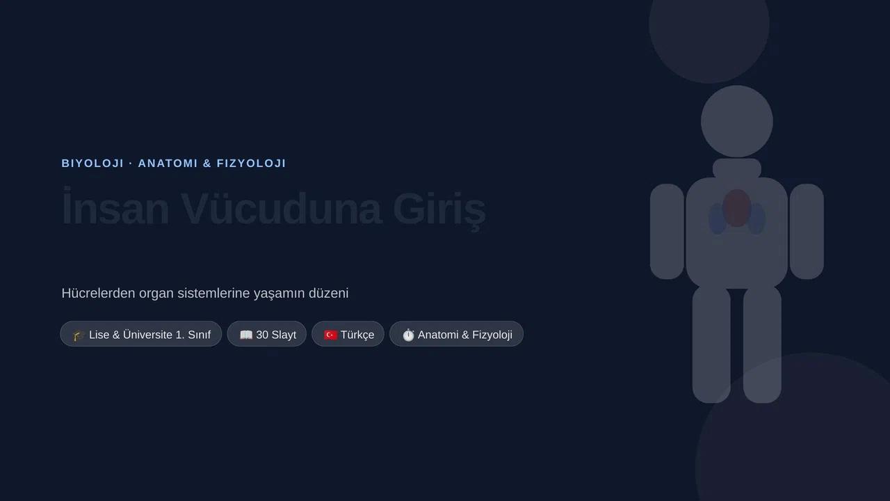 İnsan Vücuduna Giriş